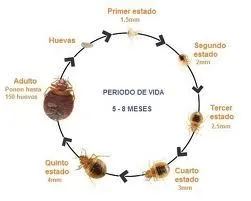 La imagen 4 de la Empresa QUITAPLAGAS