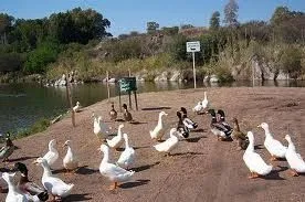 La imagen 1 de la Empresa CRUZ DEL EJE TURISMO