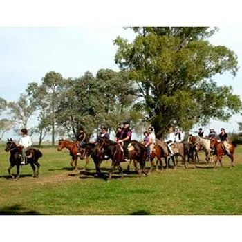 La imagen 9 de la Empresa FAMILY TURISMO