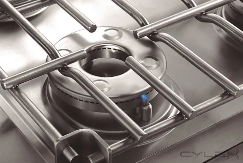 La imagen 7 de la Empresa INGENIERÍA GASTRONÓMICA