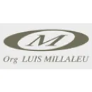 ORGANIZACION MILLALEU Seguros - Asesores en General Roca AR-R	