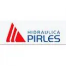 HIDRAULICA PIRLES Reparacion de Reductores en López AR-S