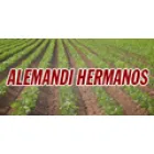 ALEMANDI HERMANOS