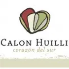 CALON HUILLI AGENCIA DE VIAJES Y TURISMO