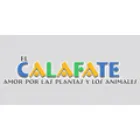 EL CALAFATE