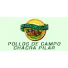 POLLOS DE CAMPO CHACRA PILAR