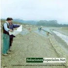 SOLUCIONESESPECIALES.NET