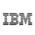 IBM BUSINESS CONSULTING SERVICES COMPANY