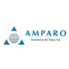 ORGANIZACION AMPARO