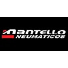 MANTELLO NEUMATICOS